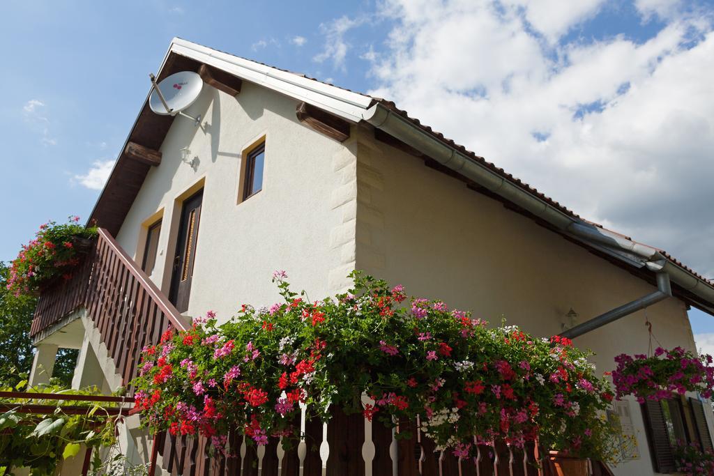 Apartment Ines Smoljanac Kültér fotó